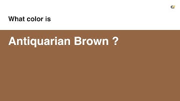 Antiquarian Brown color #946644 hex color - Orange color - Cool color 946644