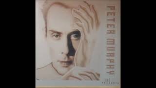 PETER MURPHY - HIS CIRCLE AND HERS MEET - A-2 (2021)