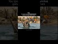 PTERODACTYL IN REAL LIFE (scientifically accurate) #dinosaur #prehistory #cretaceous #wildlife