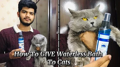 Watch the video about How To Give A Waterless Medicated Bath To Cats || Kittens And Dogs Specially In Winters