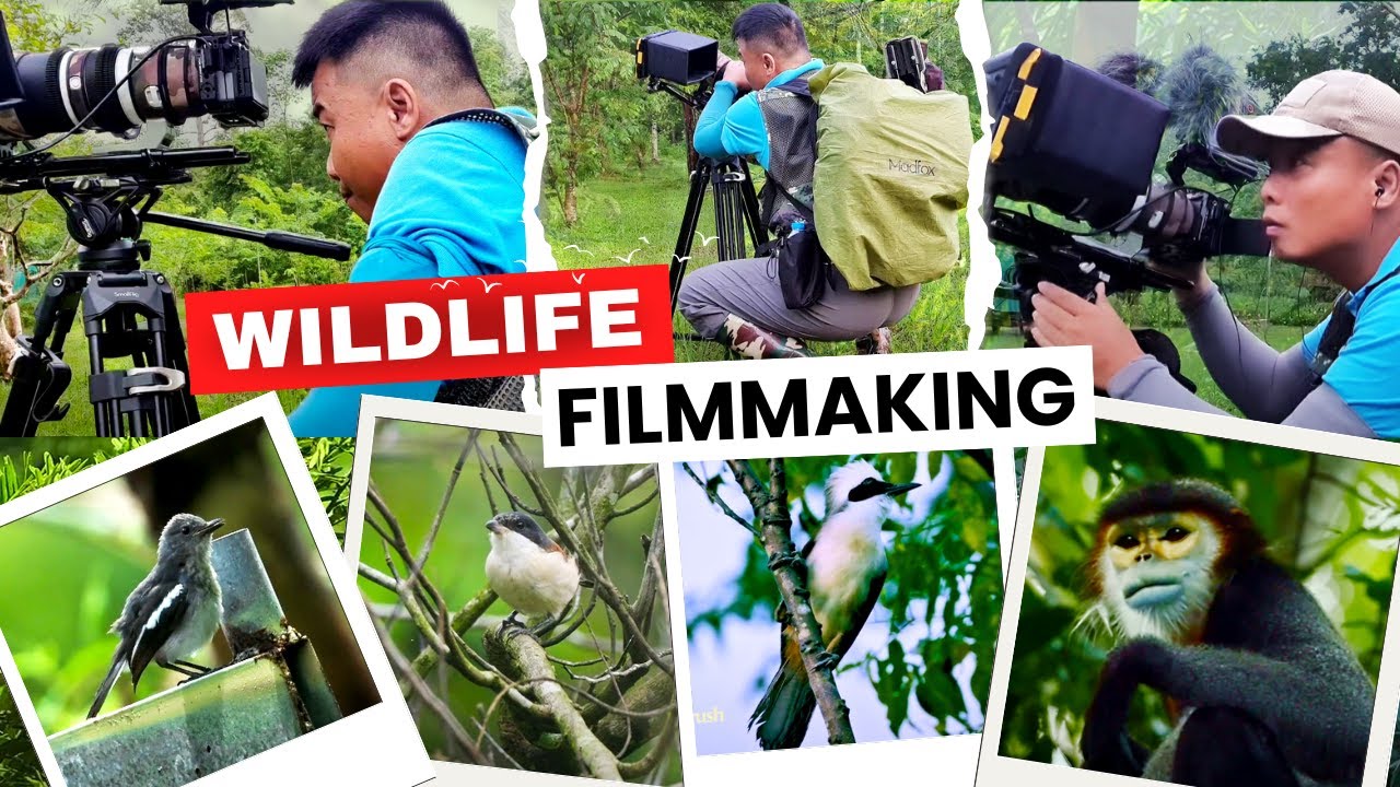 Wildlife Filmmaking At Cat Tien National Park 2024 | Birding, Herping & Animal Watching