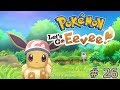 Pokemon lets go eevee  26  strolling down pokemon road