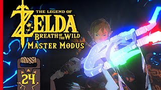 Die Ballade der Recken ? Zelda Breath of the Wild Master Modus ☠️