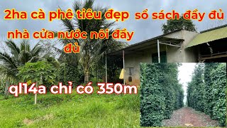 Da Bán) 2 ha cà phê tiêu. Sổ sách đầy đủ, cách ql14A-350m gần khu dân cư lh 0366592989