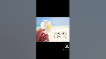 ولسوف يعطيك ربك فترضي ❤️ تلاوة تريح القلب