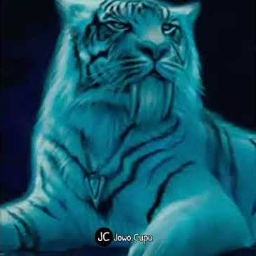 JANGAN KELUAR KETIKA TUBUHKU TAK DISAKITI