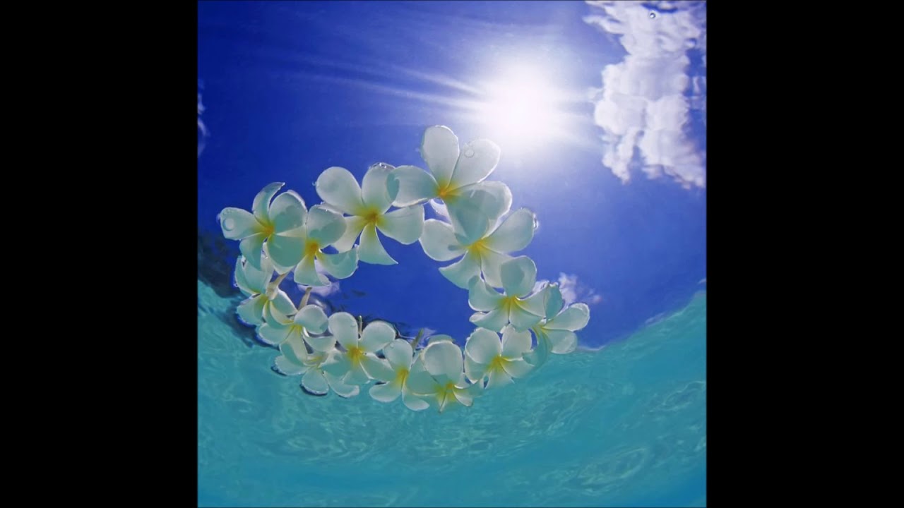 「Part of Your World」リトル・マーメイド/女声合唱団Prunus