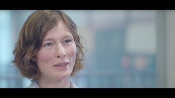 CWI Human-Centered Data Analytics group