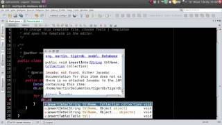 Tigerdb - Base de datos Orientada a Objetos en Java [1/]