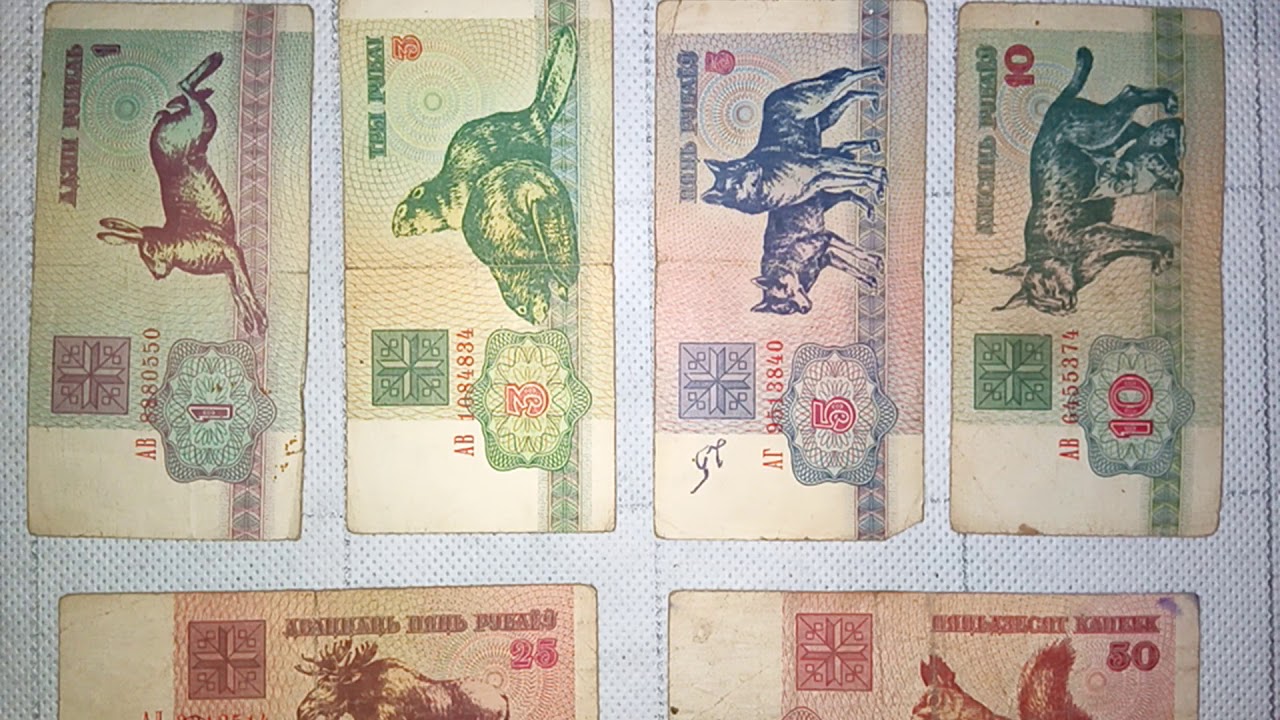 Белорусские рубли 1992. Белорусские зайчики 1992. Деньги Беларуси в 1992 году. Белорусские деньги 1992 года. Белорусские банкноты 1992.