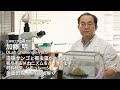 #5 DLab Challenge「造礁サンゴと褐虫藻が地球環境に寄与するメカニズムをバイオ、化学、材料科学、シミュレーションの多面的視点からひも解く」
