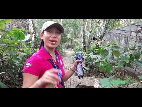 giá vé vào rừng cúc phương Update 2022 Ghé thăm khu bảo vệ động vật tại vườn quốc qia CÚC PHƯƠNG