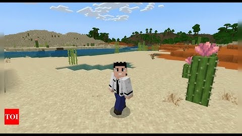 Bedrock 1.21.71 Update: Performance Boosts, Accessibility Features & Bug Fixes!