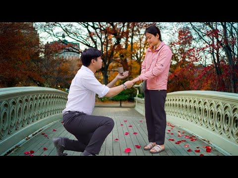 Tu Tien’s Life Changes Forever – CEO Jack Proposes When He Learns She’s Pregnant