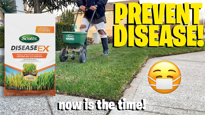 Say Goodbye to Lawn Diseases with Scott's Disease X!