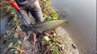 Fishing⏩টেটা দিয়ে বোয়াল মাছ শিকারের অসাধারণ ভিডিও,Big Boal fish hunting with teta,Fishing video