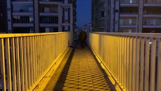 Galerimibosaltyorum.1