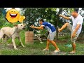 TRY TO NOT LAUGH CHALLENGE_Must Watch Top Comedy Funny Video 2020 || LOL Troll - Episode 24