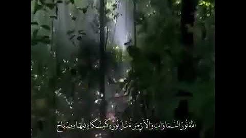 "الله نور السماوات والأرض.." بصوت القارئ الشجي إسلام صبحي/حالات واتس اب