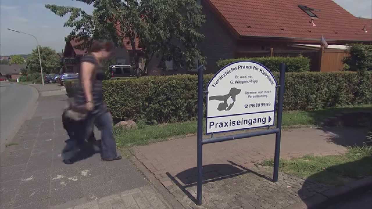 Tierärztliche Praxis Für Kleintiere Dr Med Vet G Wiegand Tripp Gmbh Unternehmensfilm