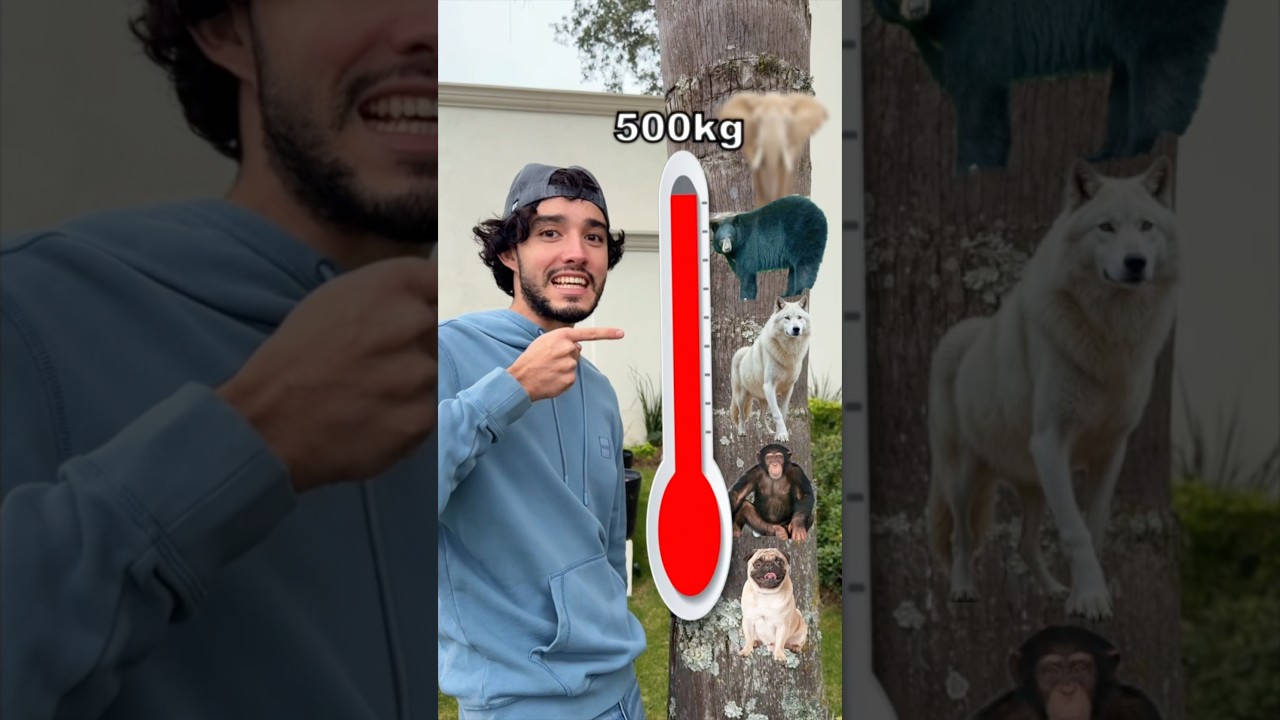 QUE ANIMALES PODRE DETENER?😱🦁