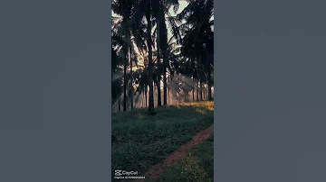 ومن اياته الليل و النهار و الشمس والقمر 