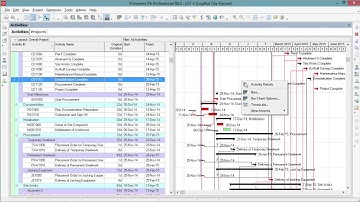 Modifying the Gantt Chart in P6 - Bar Hierarchy