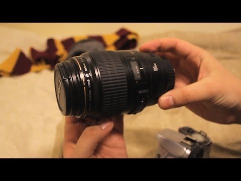 Canon 100mm f/2.8 USM Macro Lens Review (with sample pictures)