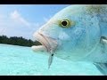 Fishing with DUO #30: Tetra Works Ikakko on flats