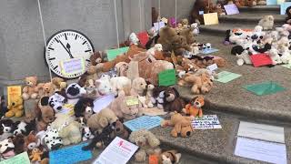 Демонстрация против экспериментов на животных в Берлине - Стрим