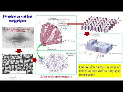 Video: Sản phẩm có cồn là Khái niệm cơ bản, phân loại, sản xuất và bán