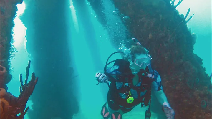 Diving in St Croix
