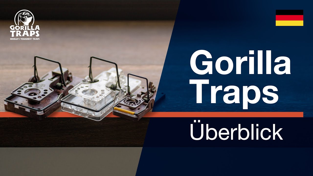 Gorilla Traps | Die fortschrittlichsten Fallen für Ratten und Mäuse