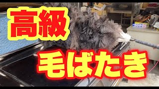 黒塗りのクラウンには松本毛ばたきが必要！？