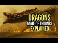 DRAGONS (Game of Thrones) EXPLAINED