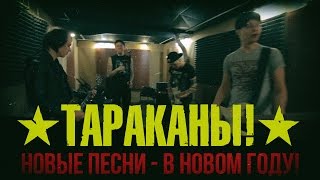 «Тараканы!» поздравляют вас с Новым 2016 годом! «Тараканы!» поздравляют вас с Новым 2016 годом!