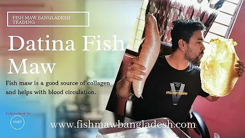 Fish Maw Datina | Fish Maw Bangladesh | Fish Maw Exporter@fishmaw