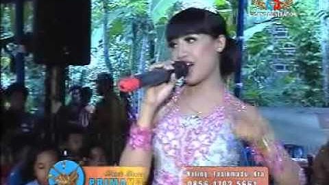02 TTM II PRIMAVERRA Electone