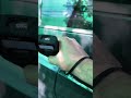 Toyota LC Prado 250 толщина покраски, оцинковка, аллюминий