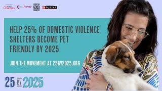 The 25 by 2025 campaign – keeping survivors and pets together