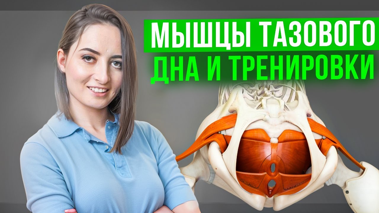 Мышцы тазового дна и тренировки - 12 ноября 19:00 мск - YouTube