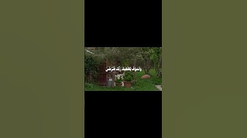 وَلَسَوْفَ يُعْطِيكَ رَبُّكَ فَتَرْضَىٰ | سورة الضحى | الشيخ محمد صديق المنشاوي #المنشاوي #قرآن