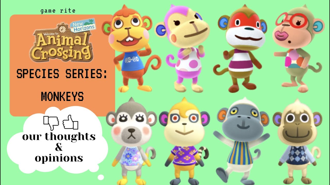 animal crossing new horizons species series monkeys YouTube