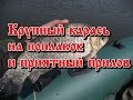 Крупный карась на поплавок и приятный прилов