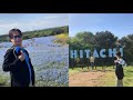 『国営ひたち海浜公園』〜ネモフィラぶらり旅〜日立灯台、村松山虚空蔵堂、大甕饅頭、那珂湊