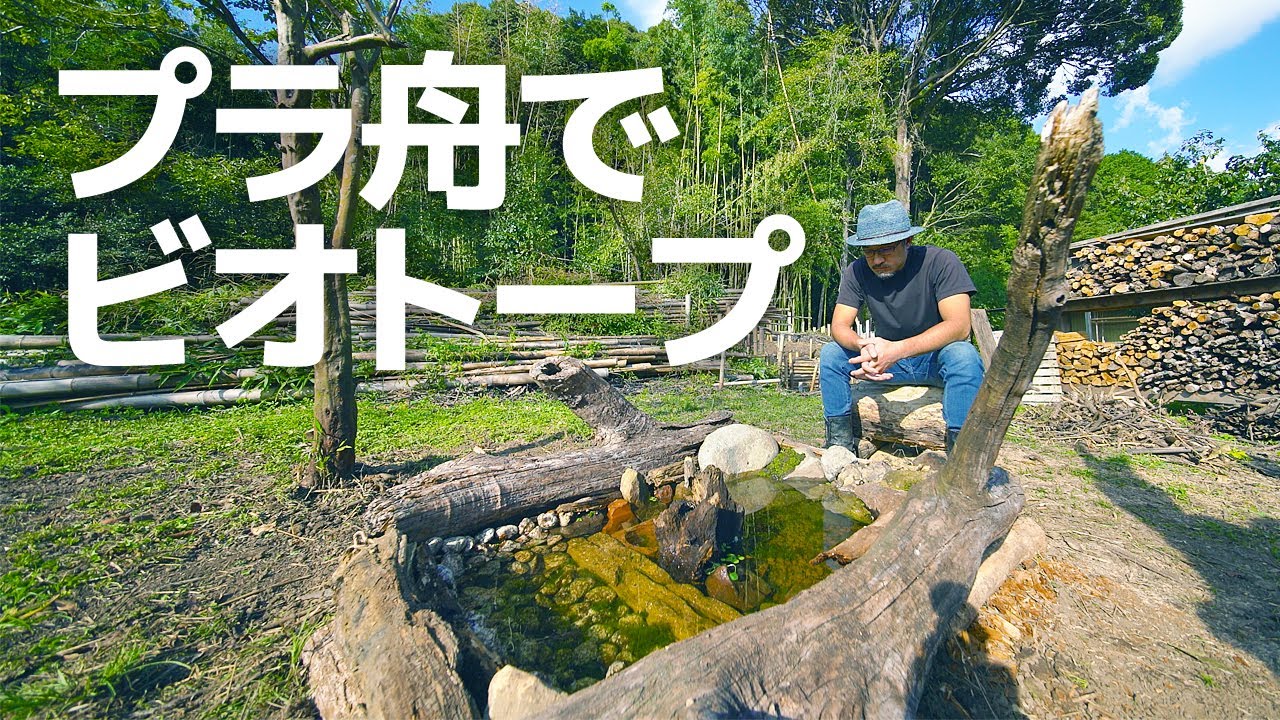 ビオトープ プラ舟でメダカの池を作る 木と石と水草 裏庭の遊び方 Youtube