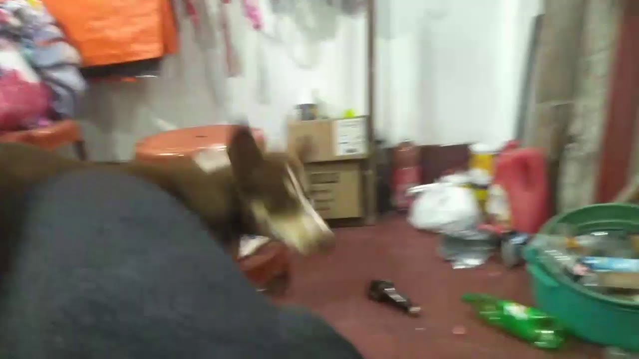 8th September Dinner Live - YouTube