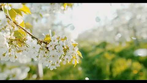 تلاوة مميزة مؤثرة من أروع ما سمعت😢🌷❤❤❤❤