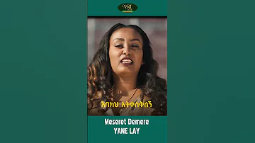 Meseret Demere Yane Lay መሠረት ደመረ ያኔ ላይ New Ethiopian Music 2023 