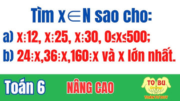 Tìm x∈N sao cho: a) x⋮12, x⋮25, x⋮30, 0≤x≤500; b) 24⋮x,36⋮x,160⋮x và x lớn nhất | Toán 6 ôn HKI